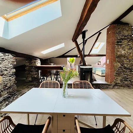 The Secret Loft At Casa Borgo Apartment Locarno